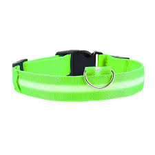 Glow In The Dark Color - Keep Your Pet Safe And Seen After Dark - Son Ecommerce Specialist