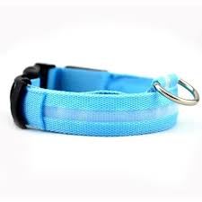 Glow In The Dark Color - Keep Your Pet Safe And Seen After Dark - Son Ecommerce Specialist